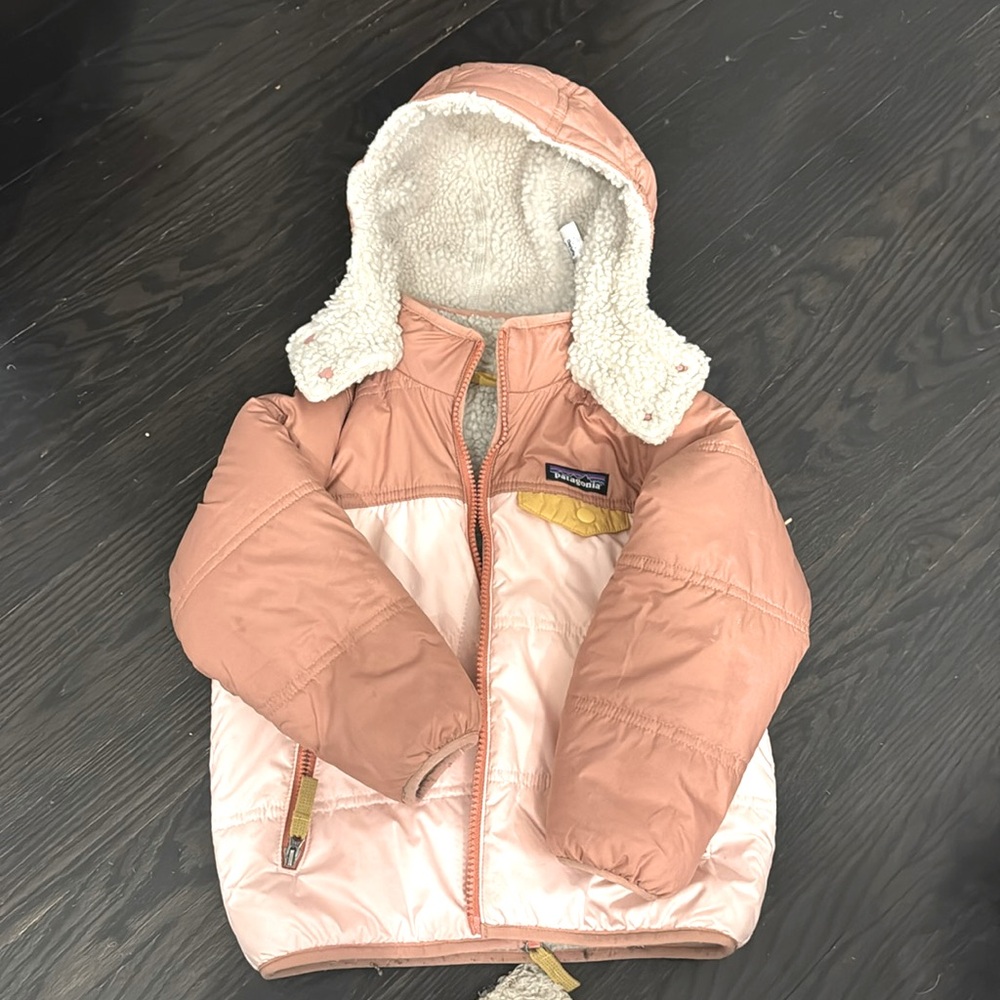 Patagonia Reversible Winter Coat